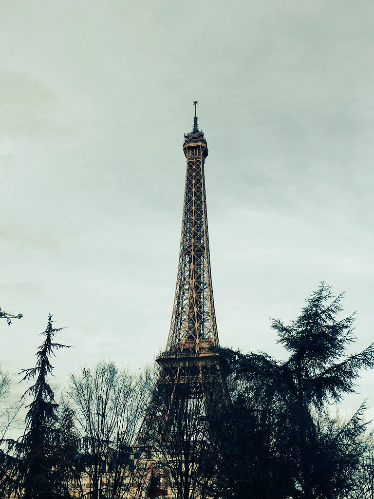 oh my god twitter doesn’t include alt text from images in their API