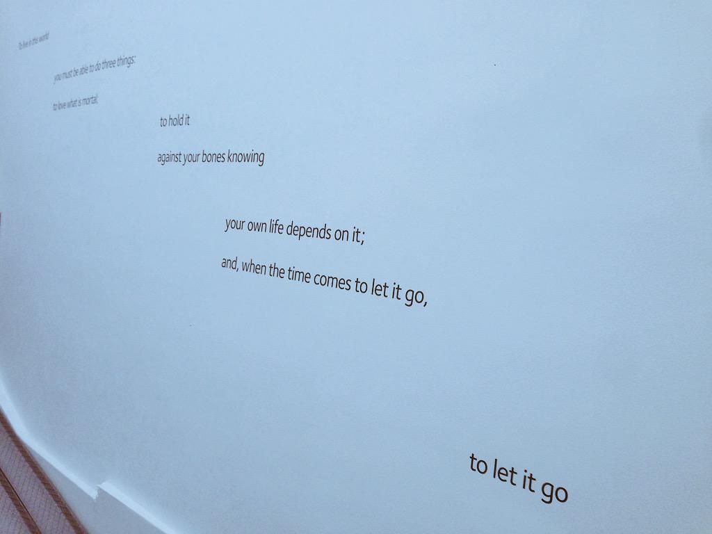 oh my god twitter doesn’t include alt text from images in their API