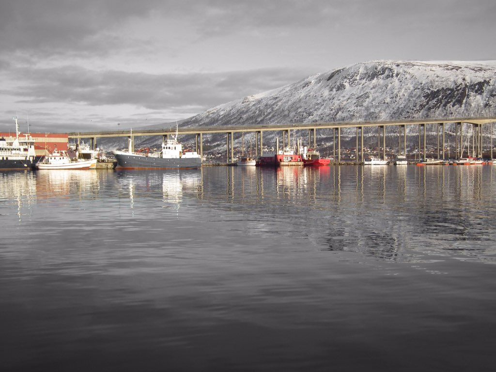 oh my god twitter doesn’t include alt text from images in their API