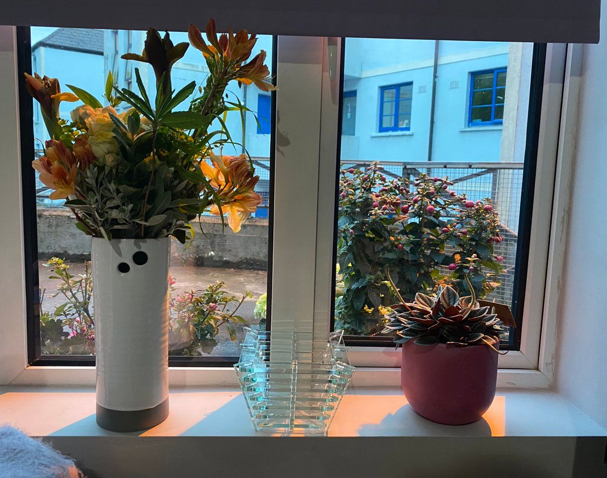 oh my god twitter doesn’t include alt text from images in their API