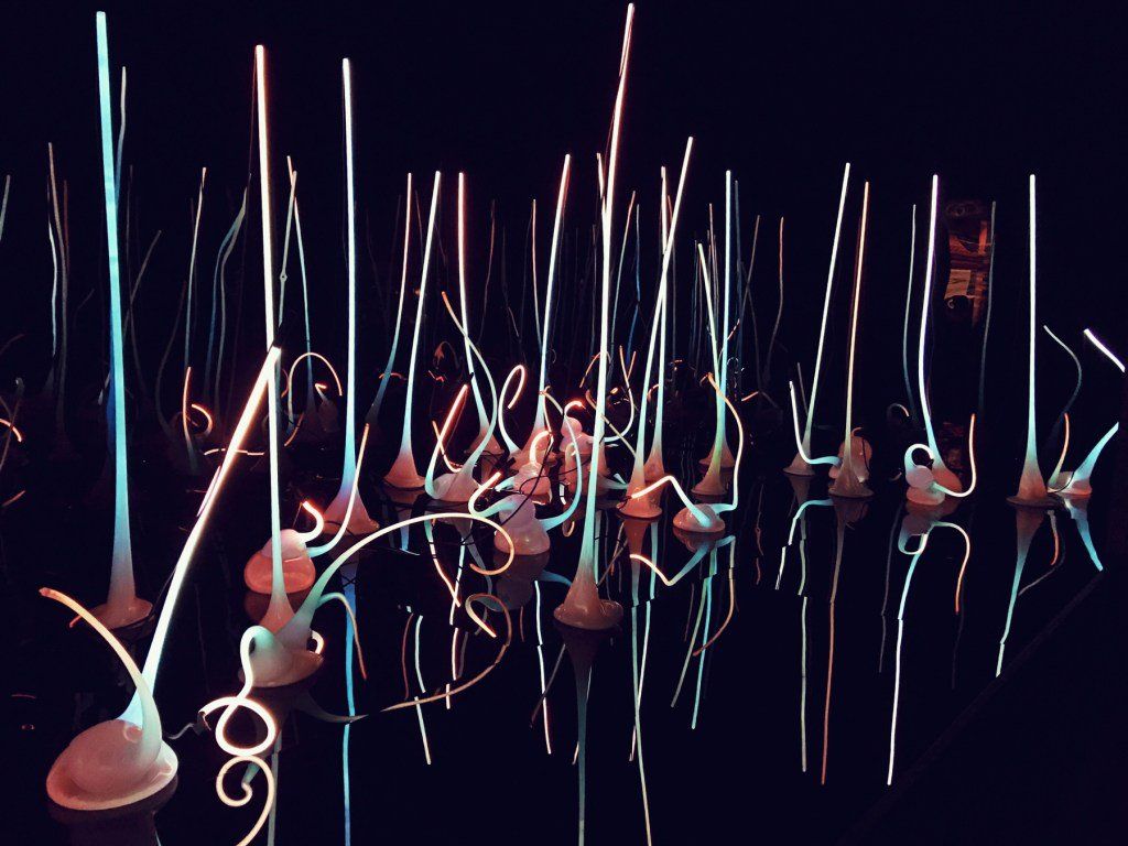 oh my god twitter doesn’t include alt text from images in their API