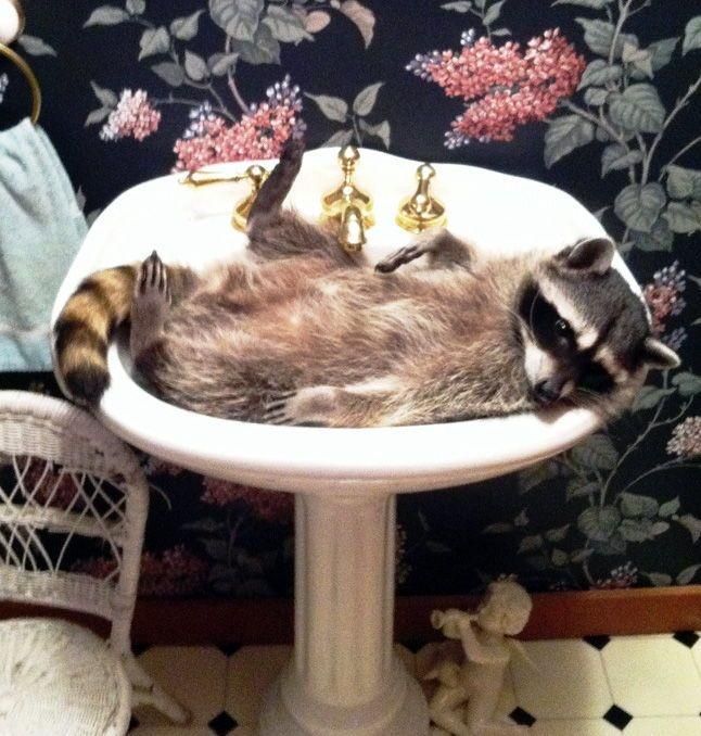 oh my god twitter doesn’t include alt text from images in their API