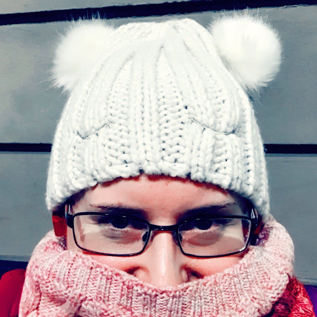 oh my god twitter doesn’t include alt text from images in their API