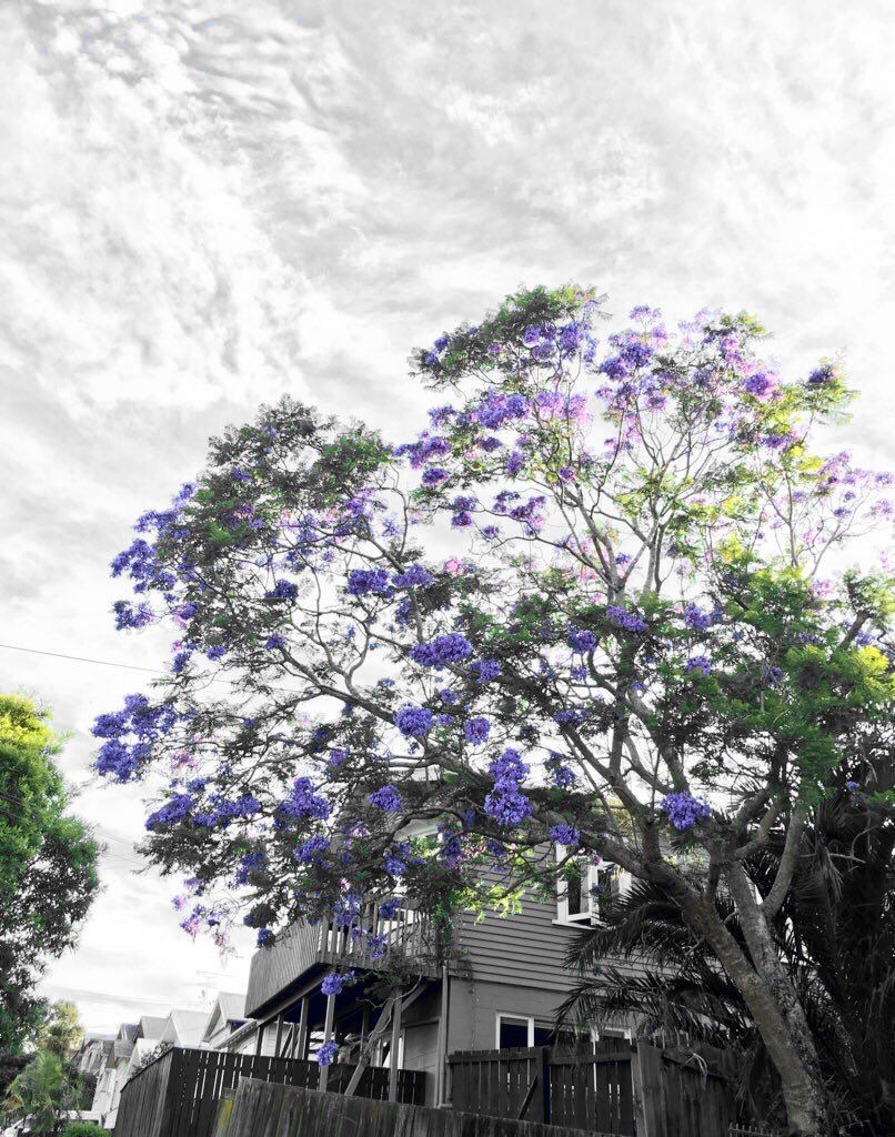 oh my god twitter doesn’t include alt text from images in their API