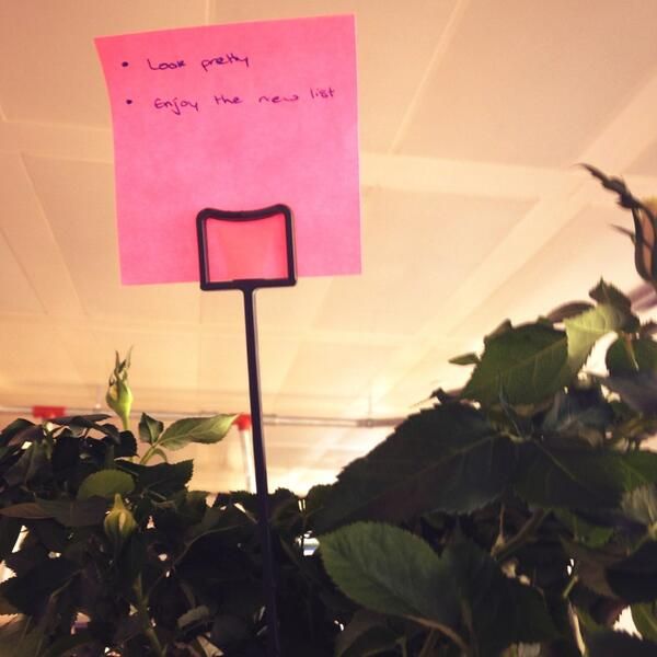 oh my god twitter doesn’t include alt text from images in their API