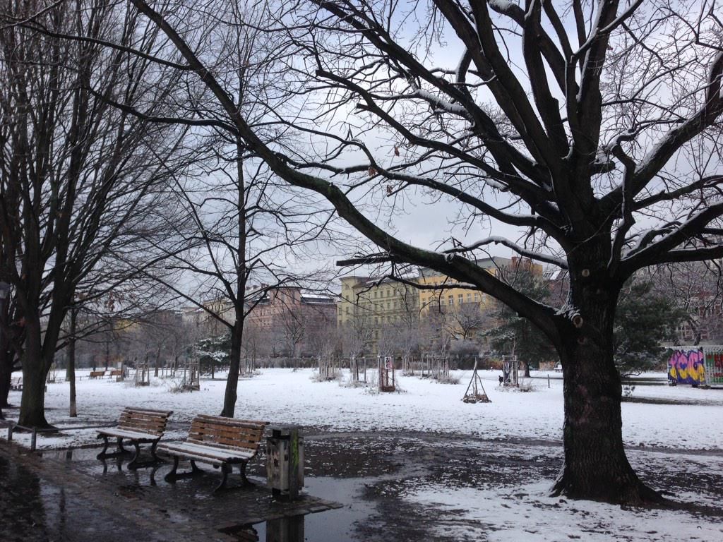 oh my god twitter doesn’t include alt text from images in their API