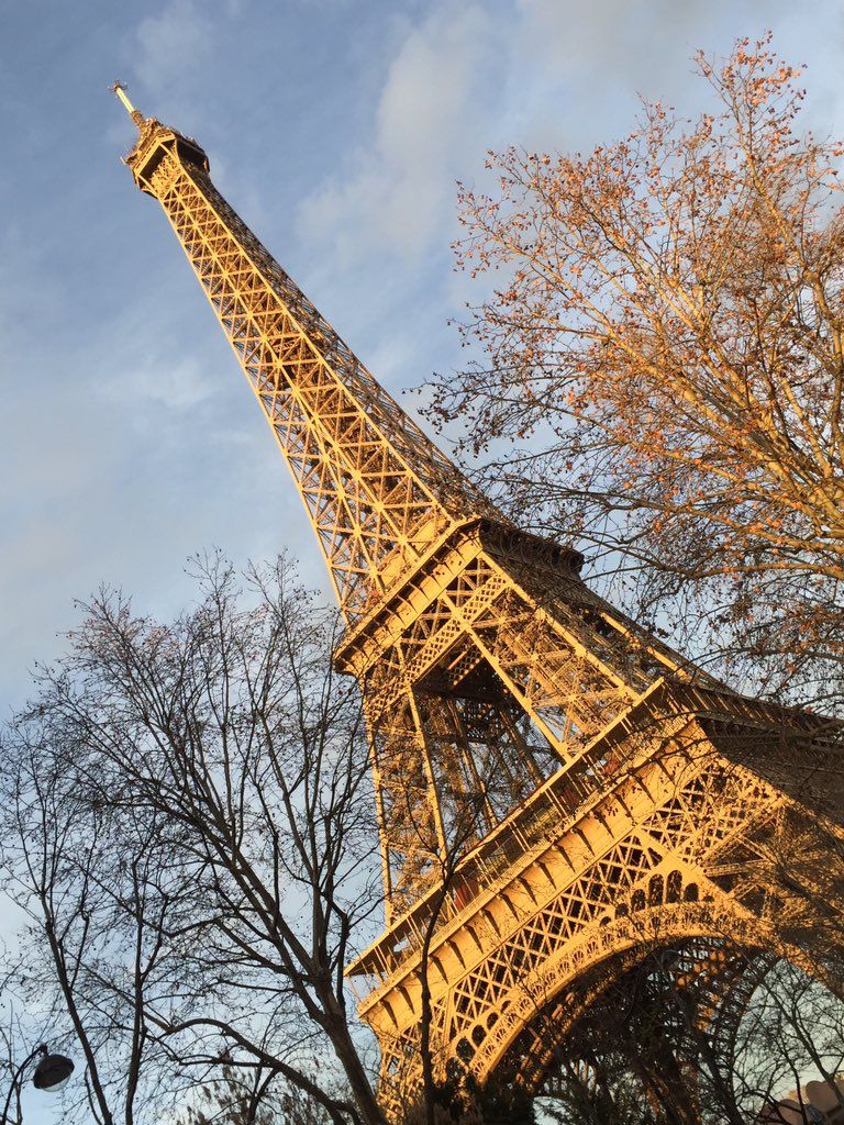 oh my god twitter doesn’t include alt text from images in their API