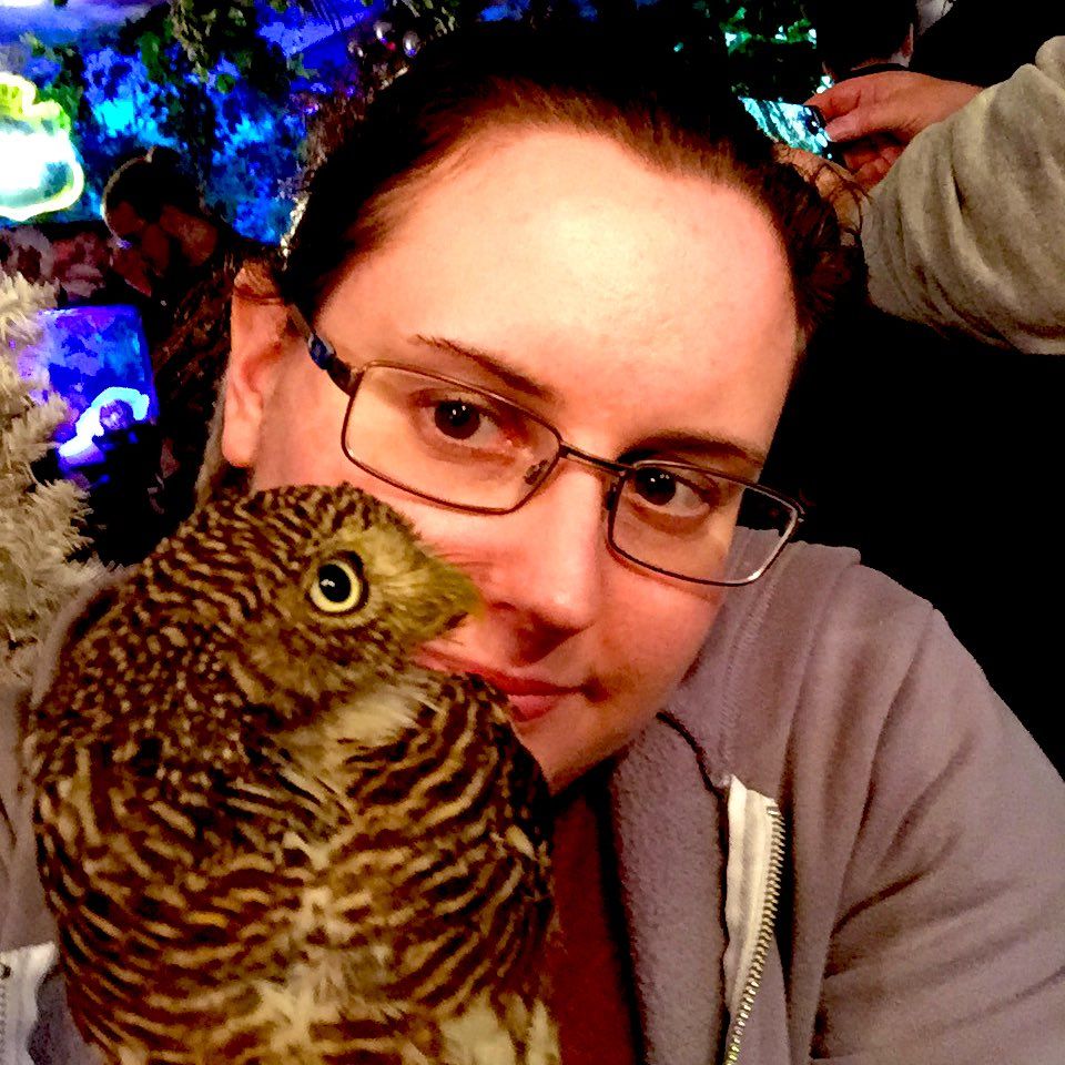 oh my god twitter doesn’t include alt text from images in their API