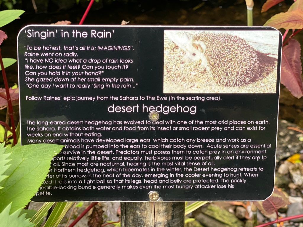 oh my god twitter doesn’t include alt text from images in their API