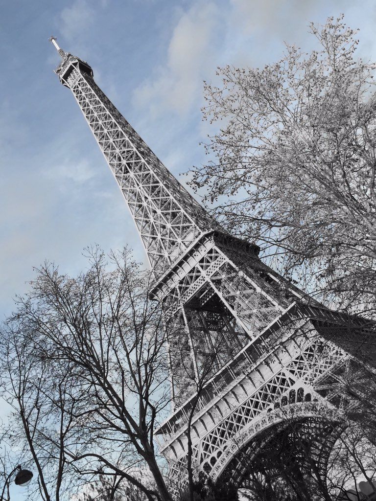 oh my god twitter doesn’t include alt text from images in their API