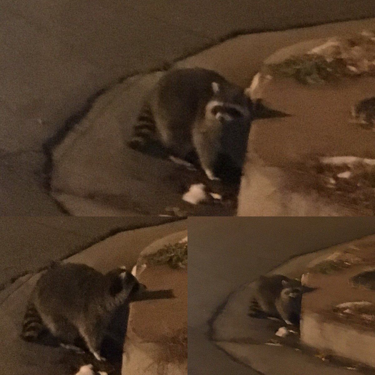 oh my god twitter doesn’t include alt text from images in their API