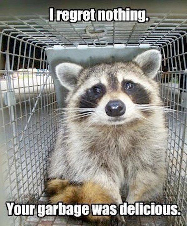 oh my god twitter doesn’t include alt text from images in their API