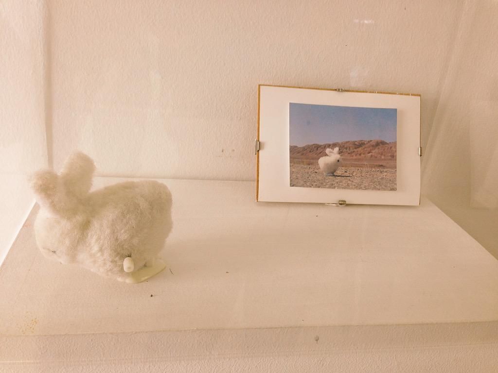 oh my god twitter doesn’t include alt text from images in their API