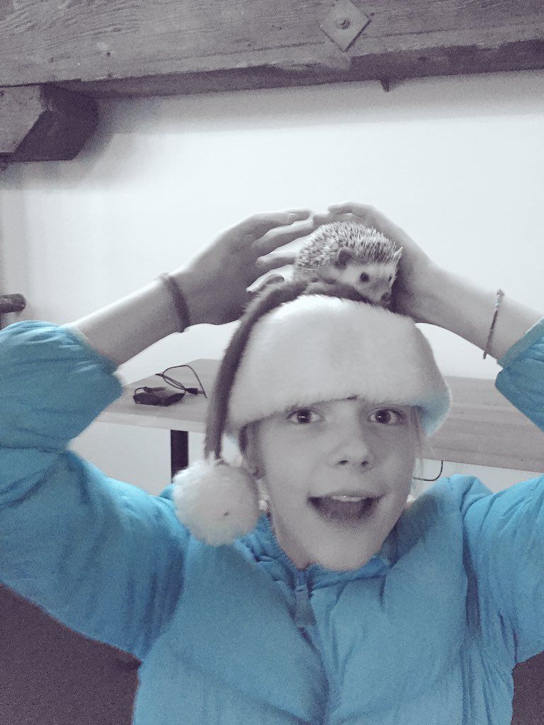 oh my god twitter doesn’t include alt text from images in their API