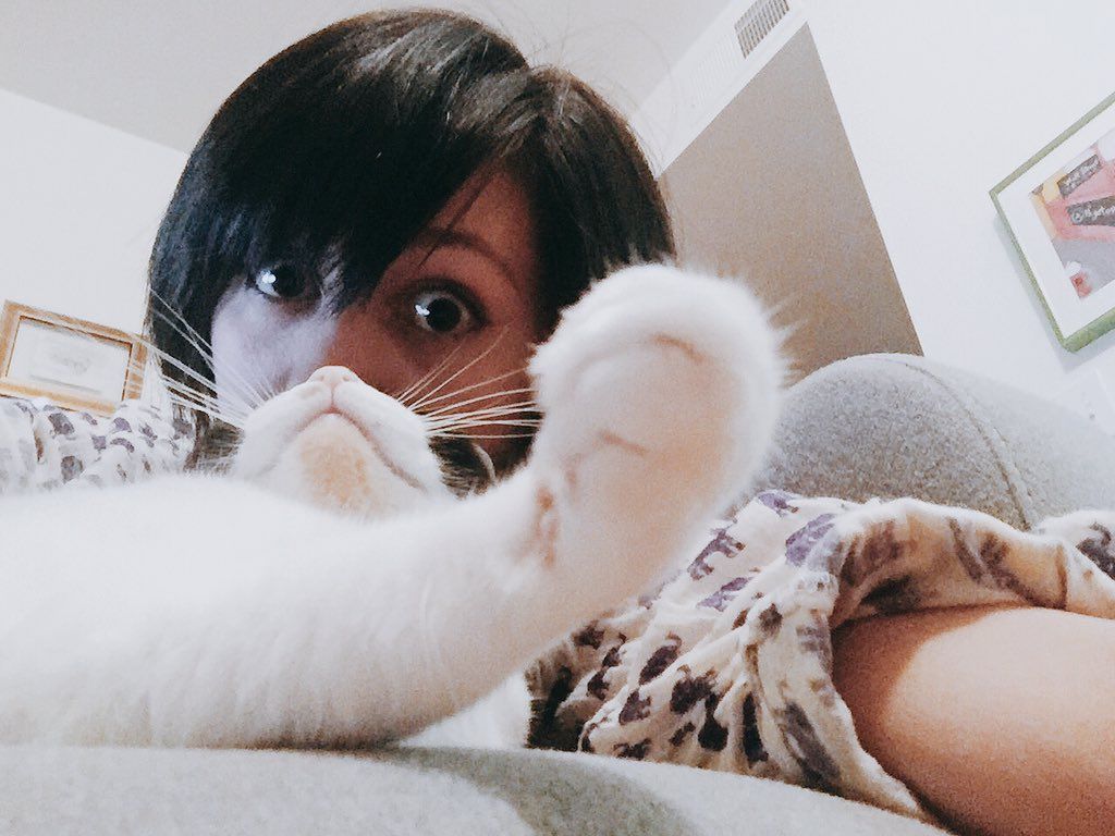 oh my god twitter doesn’t include alt text from images in their API