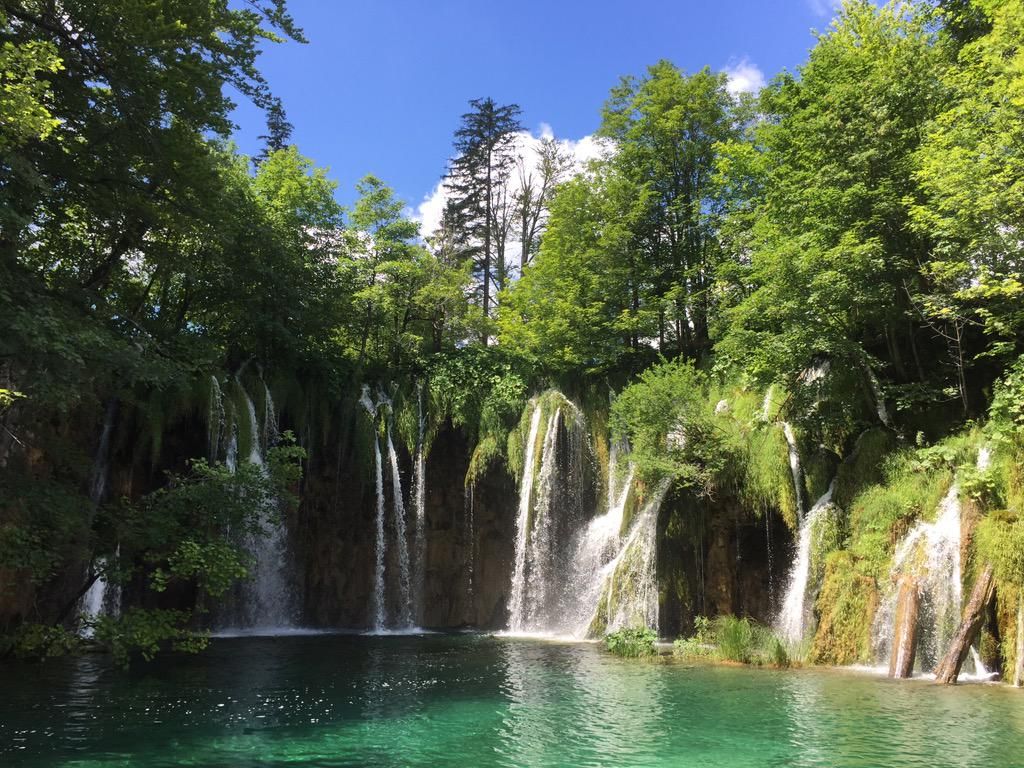 oh my god twitter doesn’t include alt text from images in their API