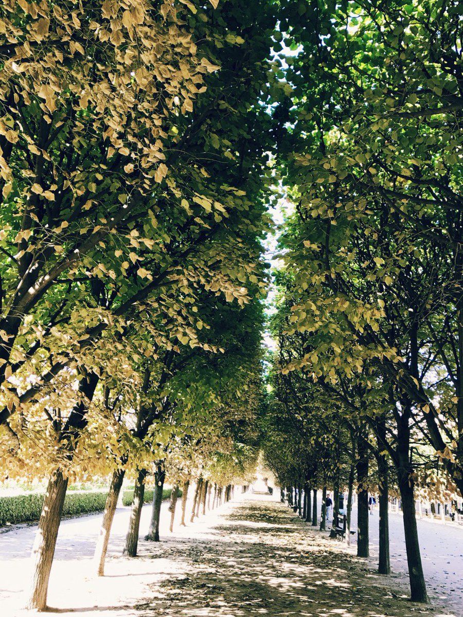 oh my god twitter doesn’t include alt text from images in their API