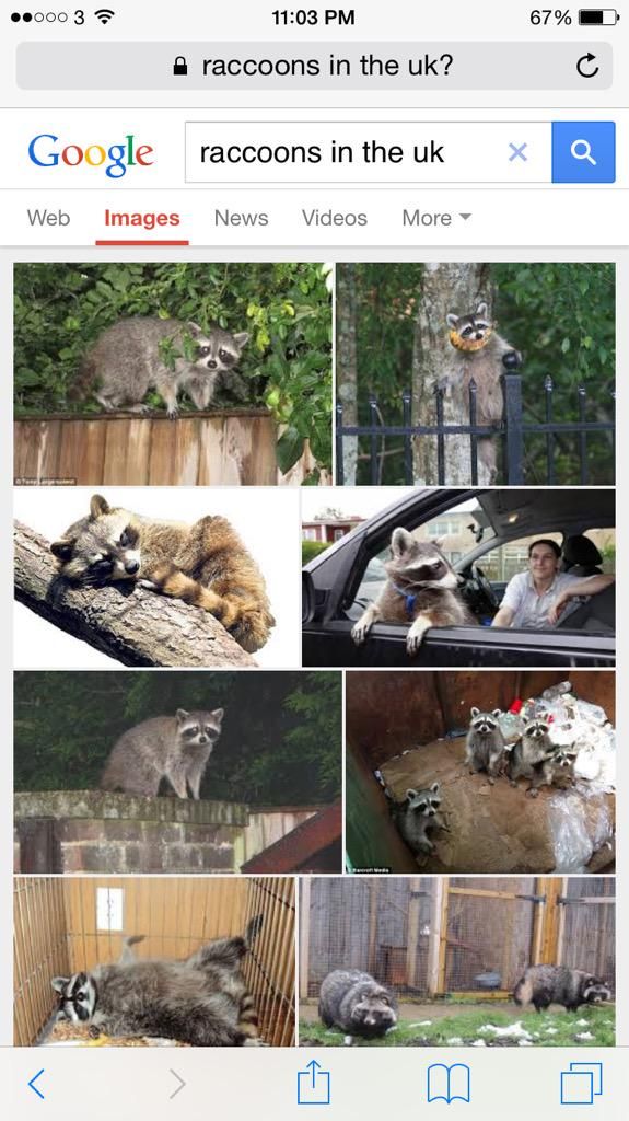 oh my god twitter doesn’t include alt text from images in their API