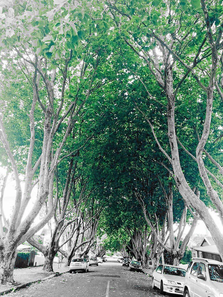 oh my god twitter doesn’t include alt text from images in their API