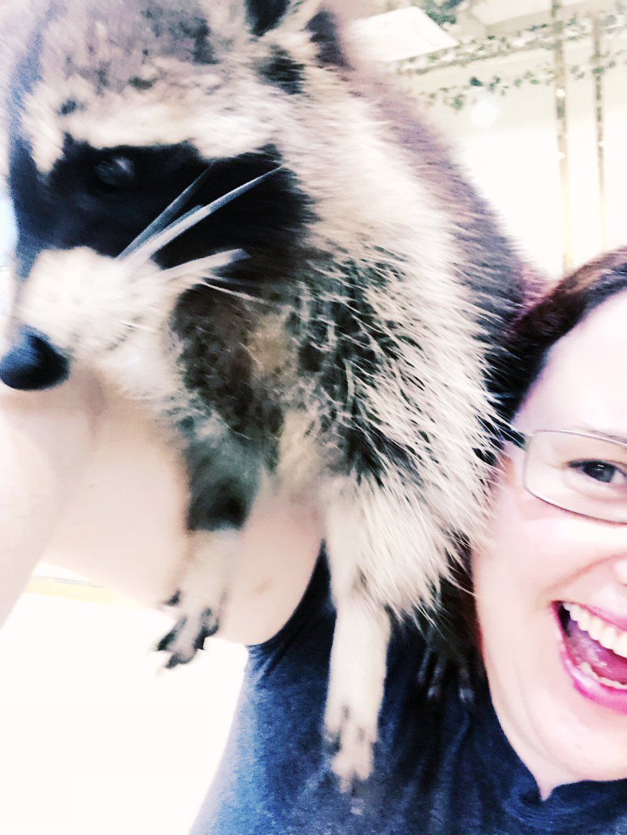 oh my god twitter doesn’t include alt text from images in their API