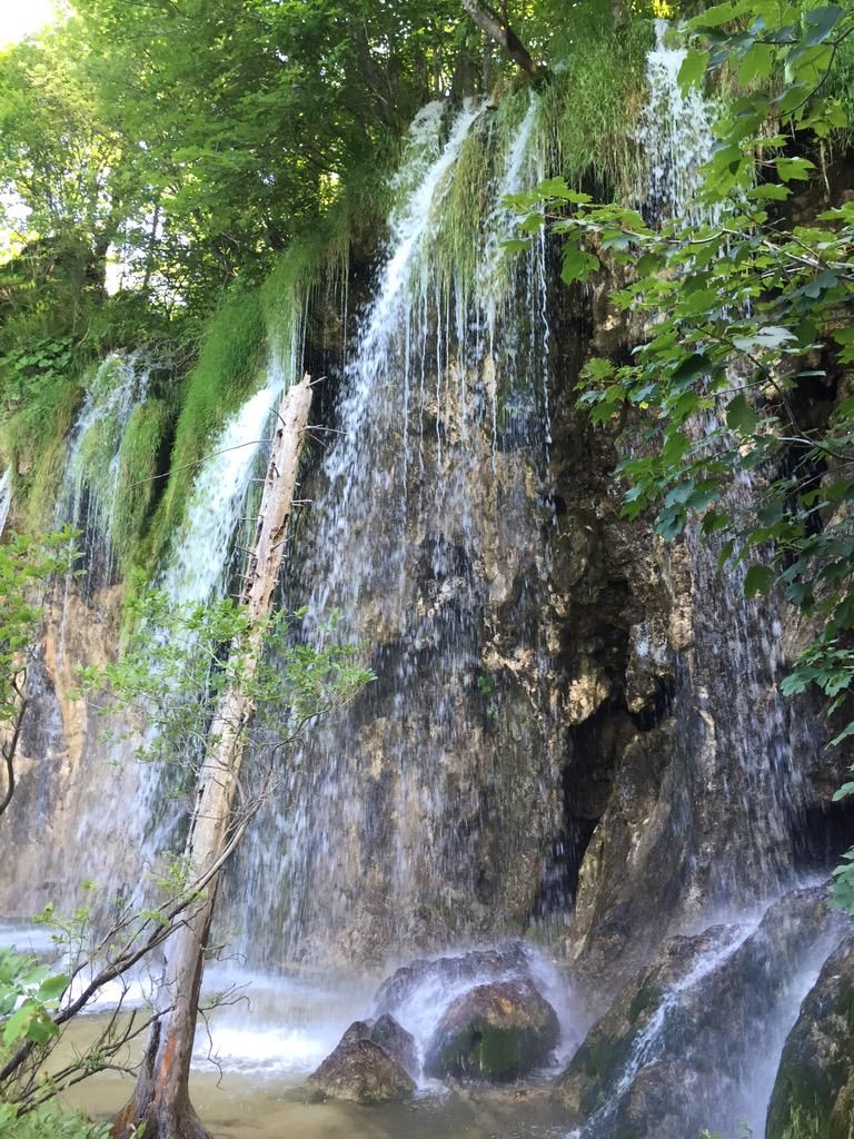 oh my god twitter doesn’t include alt text from images in their API