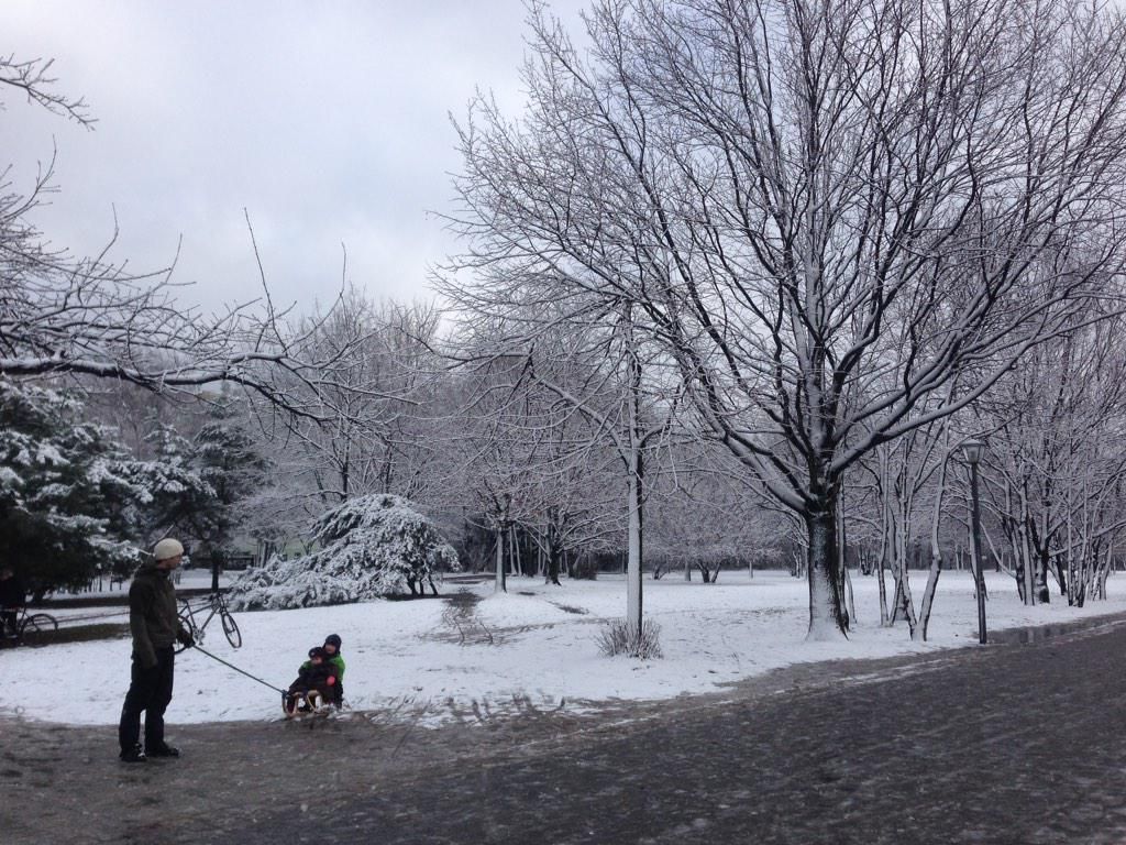 oh my god twitter doesn’t include alt text from images in their API