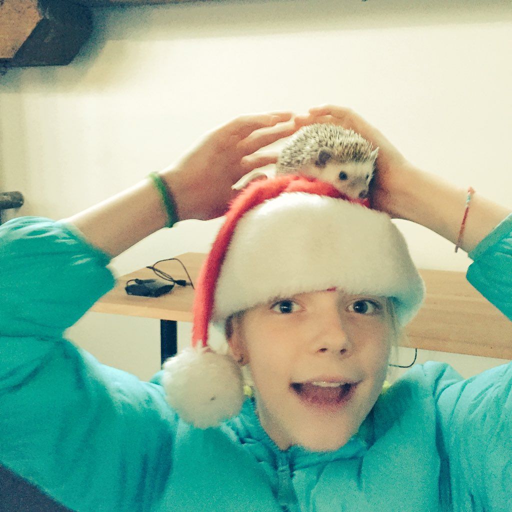 oh my god twitter doesn’t include alt text from images in their API