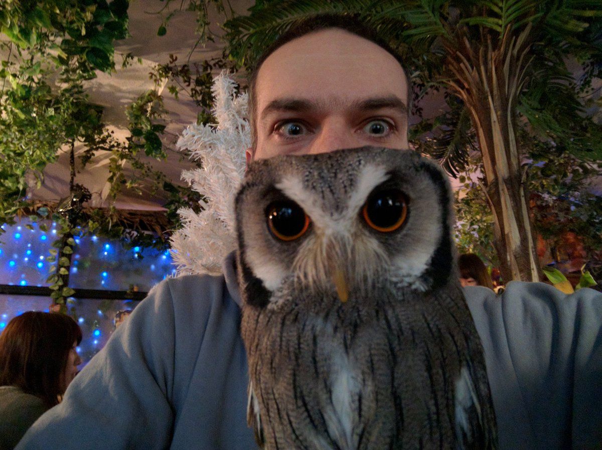 oh my god twitter doesn’t include alt text from images in their API