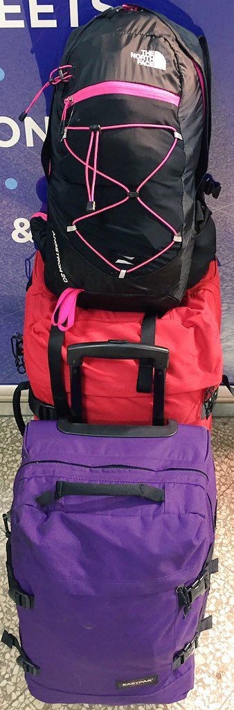 oh my god twitter doesn’t include alt text from images in their API