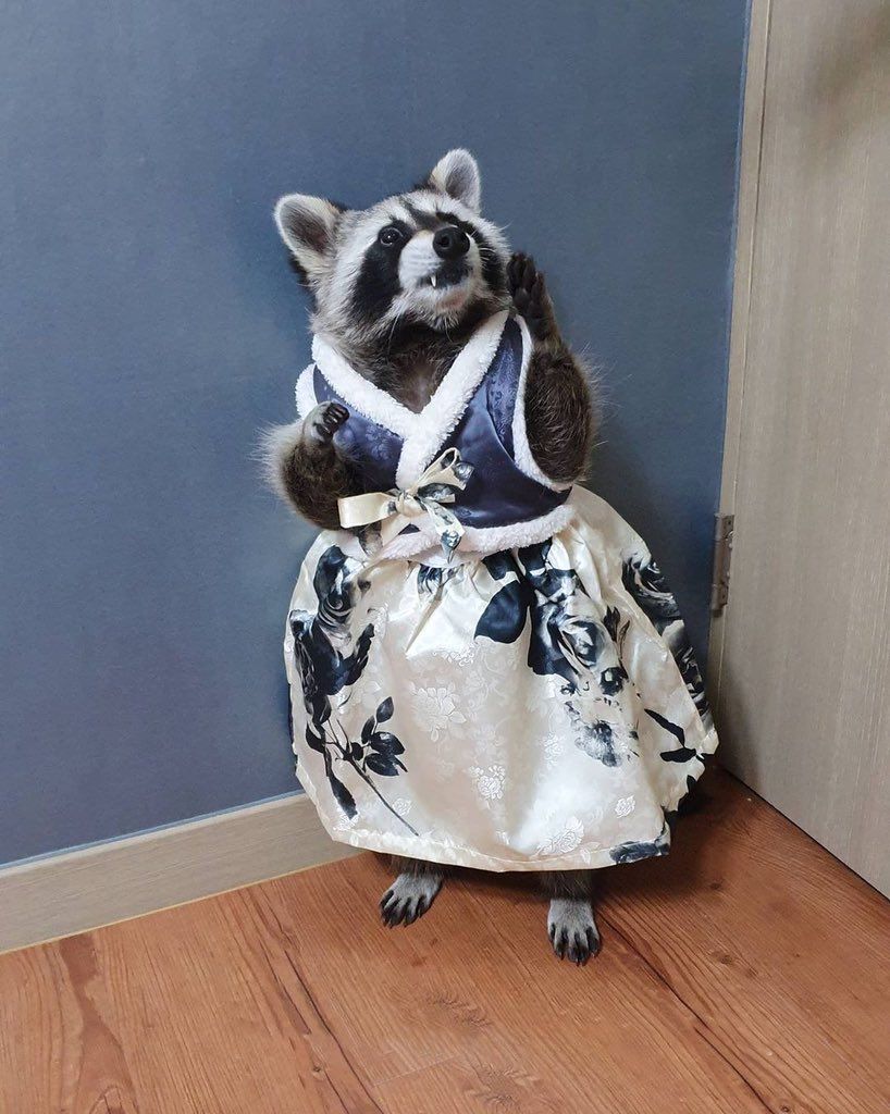 oh my god twitter doesn’t include alt text from images in their API