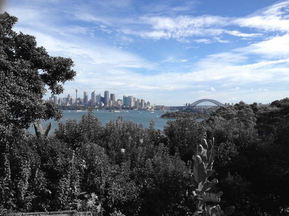 oh my god twitter doesn’t include alt text from images in their API