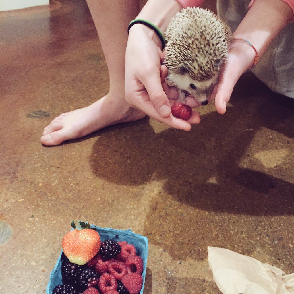 oh my god twitter doesn’t include alt text from images in their API