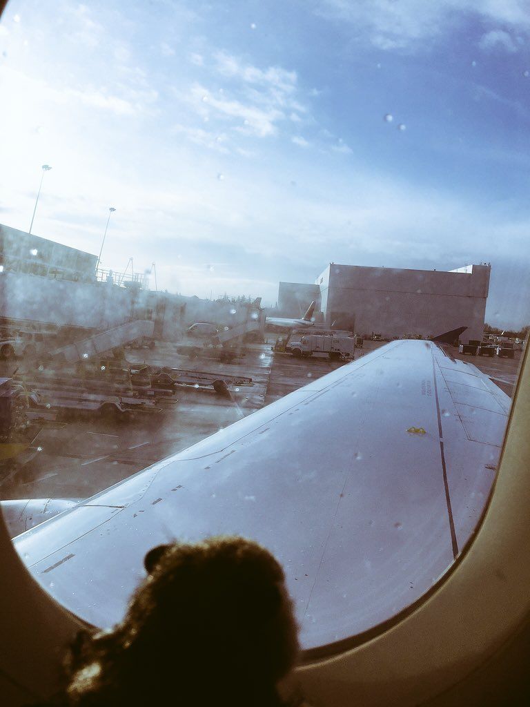 oh my god twitter doesn’t include alt text from images in their API