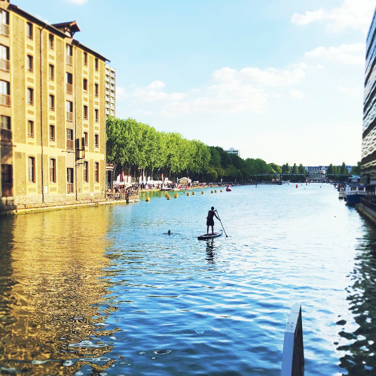 oh my god twitter doesn’t include alt text from images in their API