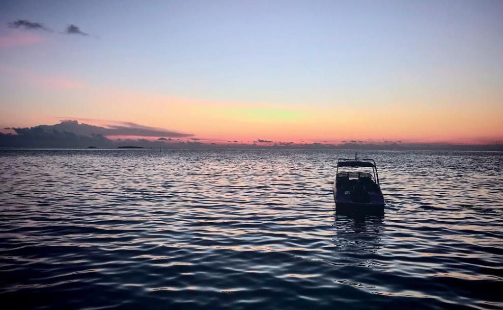 oh my god twitter doesn’t include alt text from images in their API