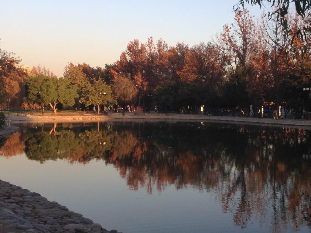 oh my god twitter doesn’t include alt text from images in their API