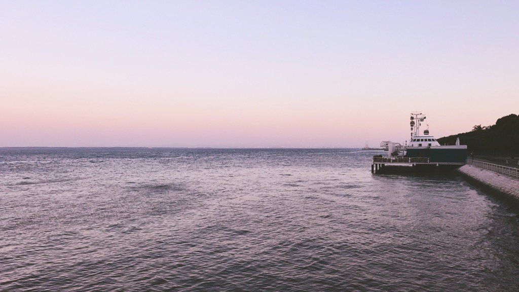 oh my god twitter doesn’t include alt text from images in their API