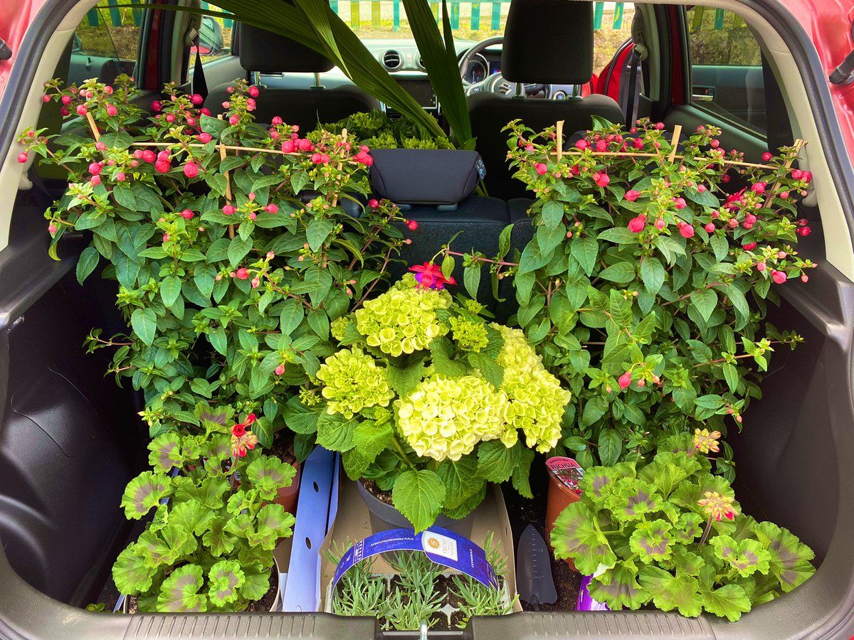 oh my god twitter doesn’t include alt text from images in their API