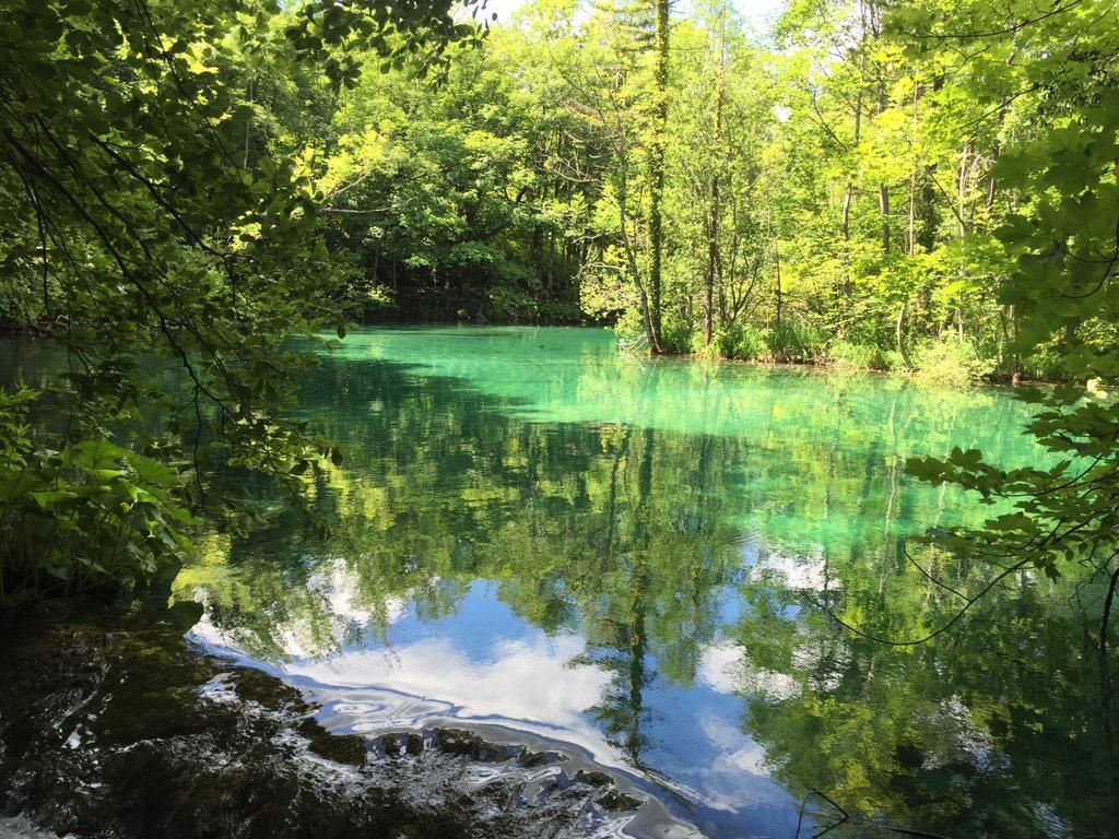 oh my god twitter doesn’t include alt text from images in their API