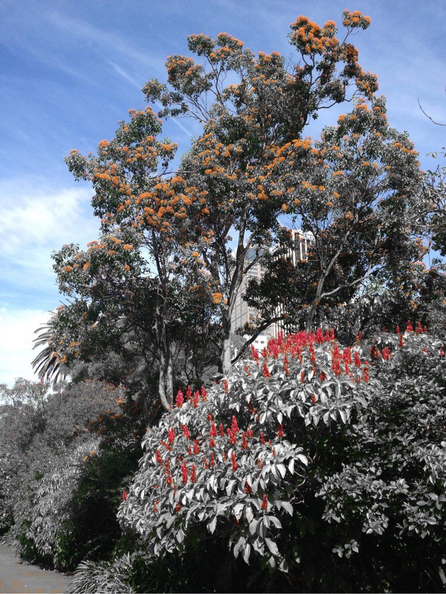 oh my god twitter doesn’t include alt text from images in their API