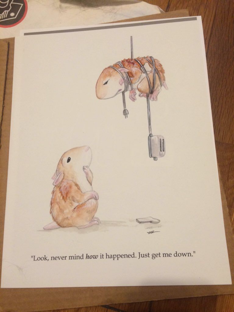 oh my god twitter doesn’t include alt text from images in their API