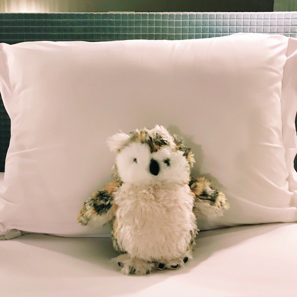 oh my god twitter doesn’t include alt text from images in their API