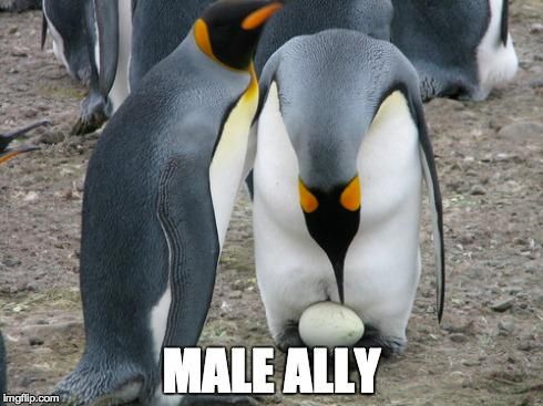 oh my god twitter doesn’t include alt text from images in their API