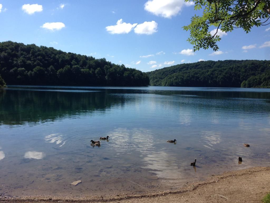 oh my god twitter doesn’t include alt text from images in their API