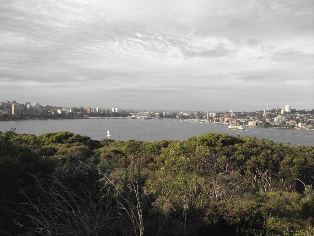 oh my god twitter doesn’t include alt text from images in their API