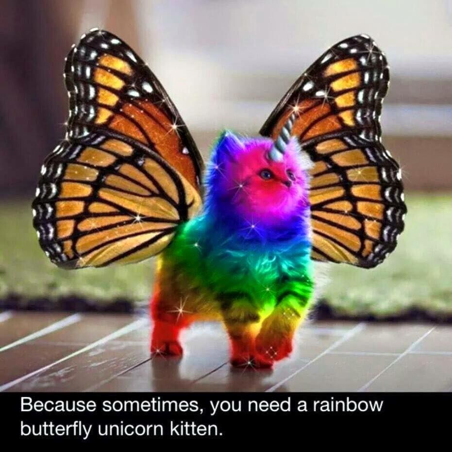 oh my god twitter doesn’t include alt text from images in their API