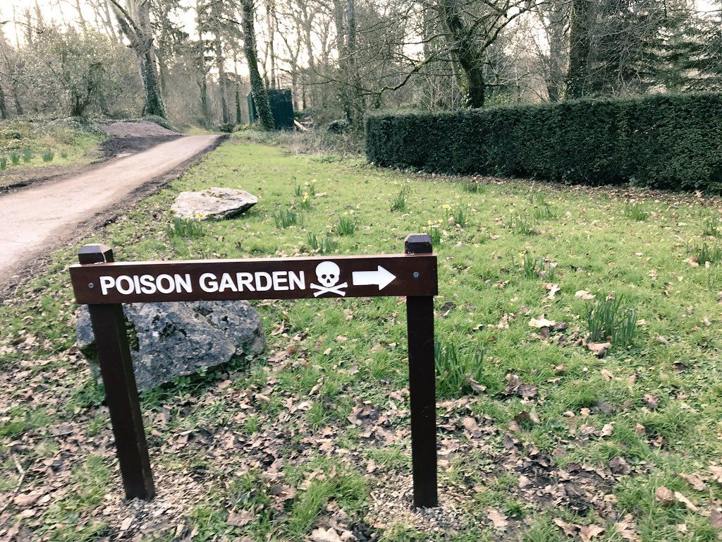 oh my god twitter doesn’t include alt text from images in their API