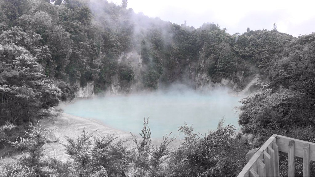 oh my god twitter doesn’t include alt text from images in their API