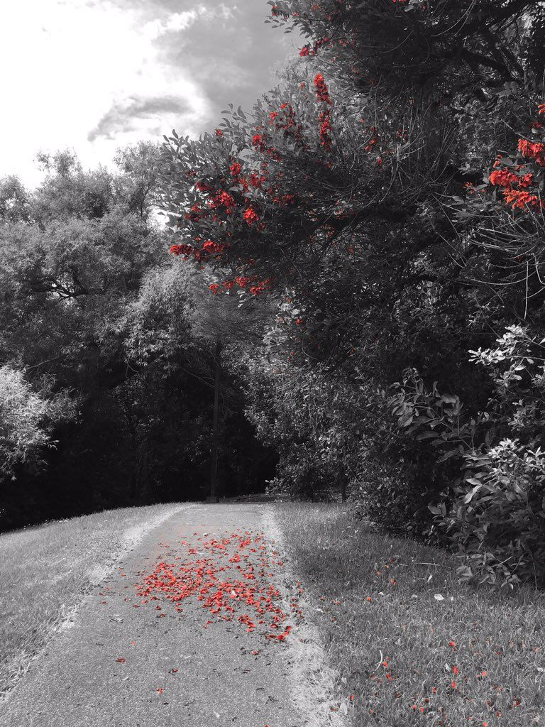 oh my god twitter doesn’t include alt text from images in their API