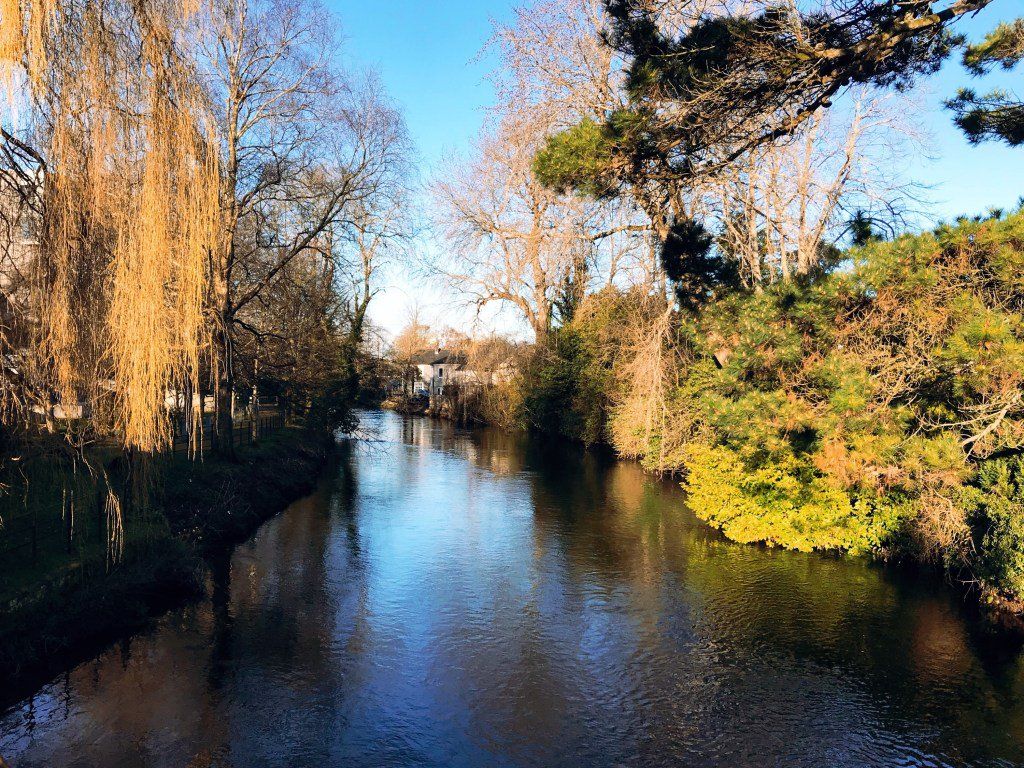 oh my god twitter doesn’t include alt text from images in their API